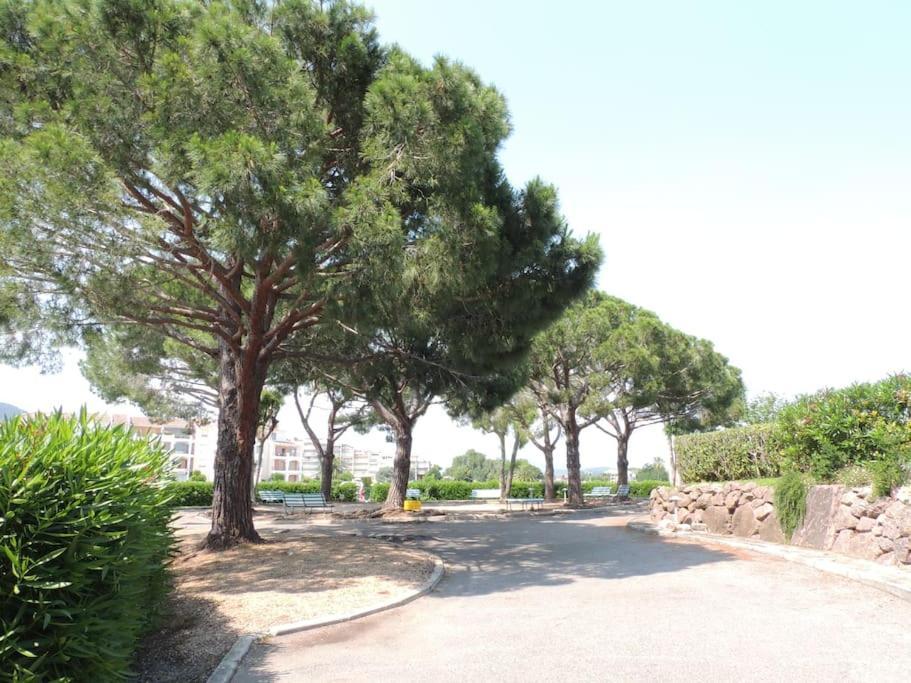 Ginkgo Studio - Piscine, Proche De La Mer, Golf, Wifi Mandelieu Buitenkant foto